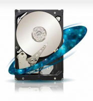 Seagate ST33000651SS (ST33000651NS)